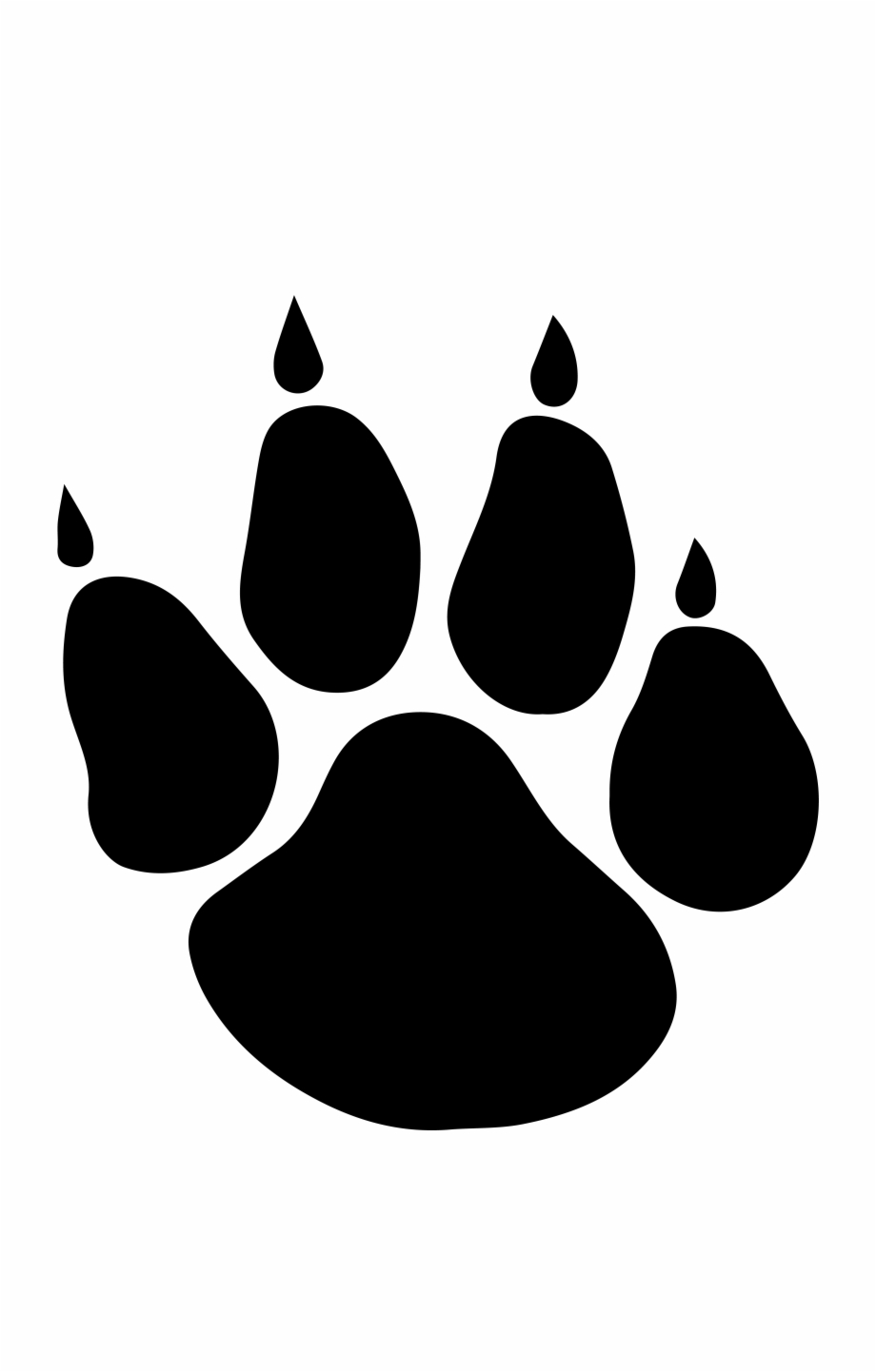 Bobcat Clipart Library Wolf Paw Huge