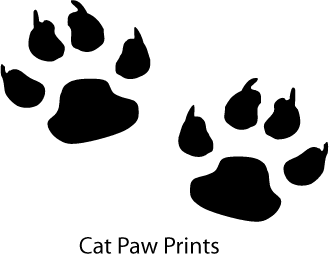 cat paws clipart different