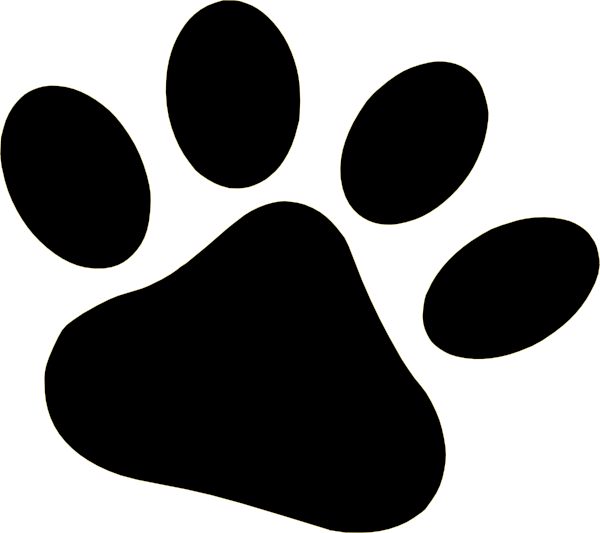 Image Of Dog Paws