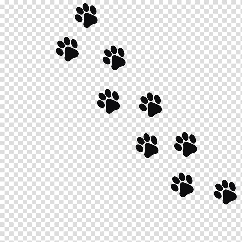 Dog paw prints.