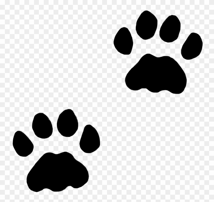 cat paws clipart high resolution