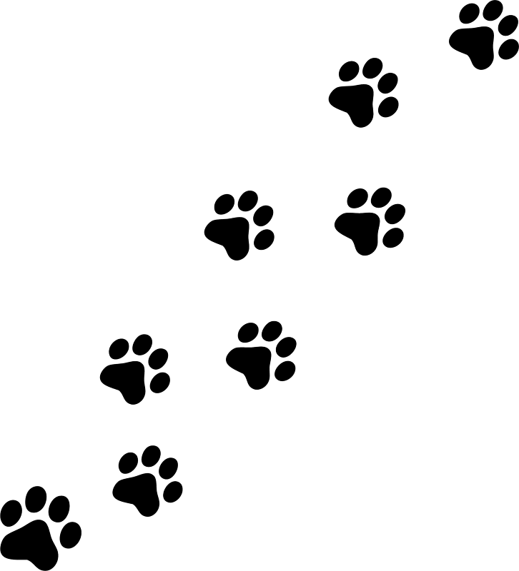 Free Cat Paw Print, Download Free Clip Art, Free Clip Art on