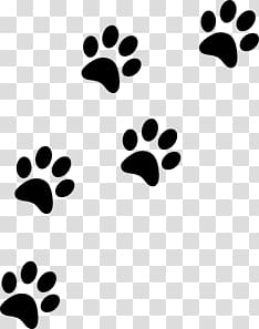 Cat paw prints.