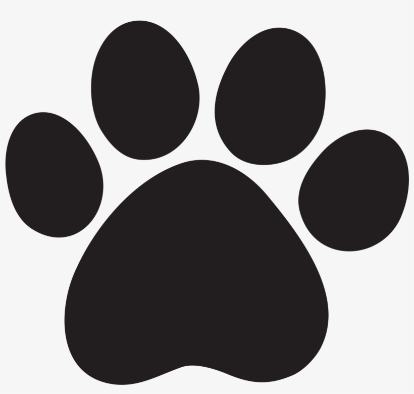 Cat Paws Png Hd