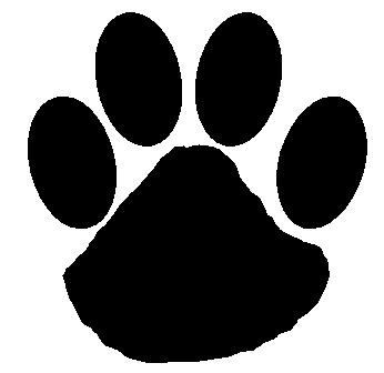 Free Free Wildcat Clipart, Download Free Clip Art, Free Clip