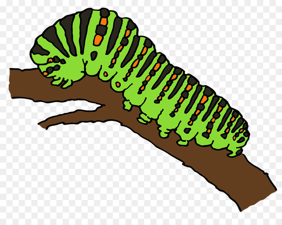 Caterpillar cartoon clipart.