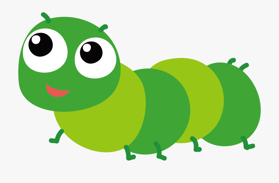 Caterpillar insects png.