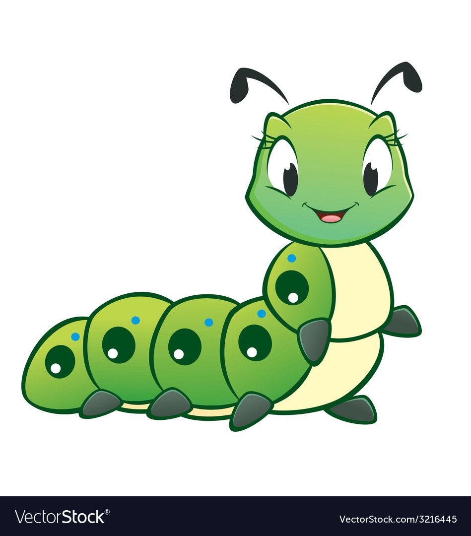Cartoon Caterpillar vector image on