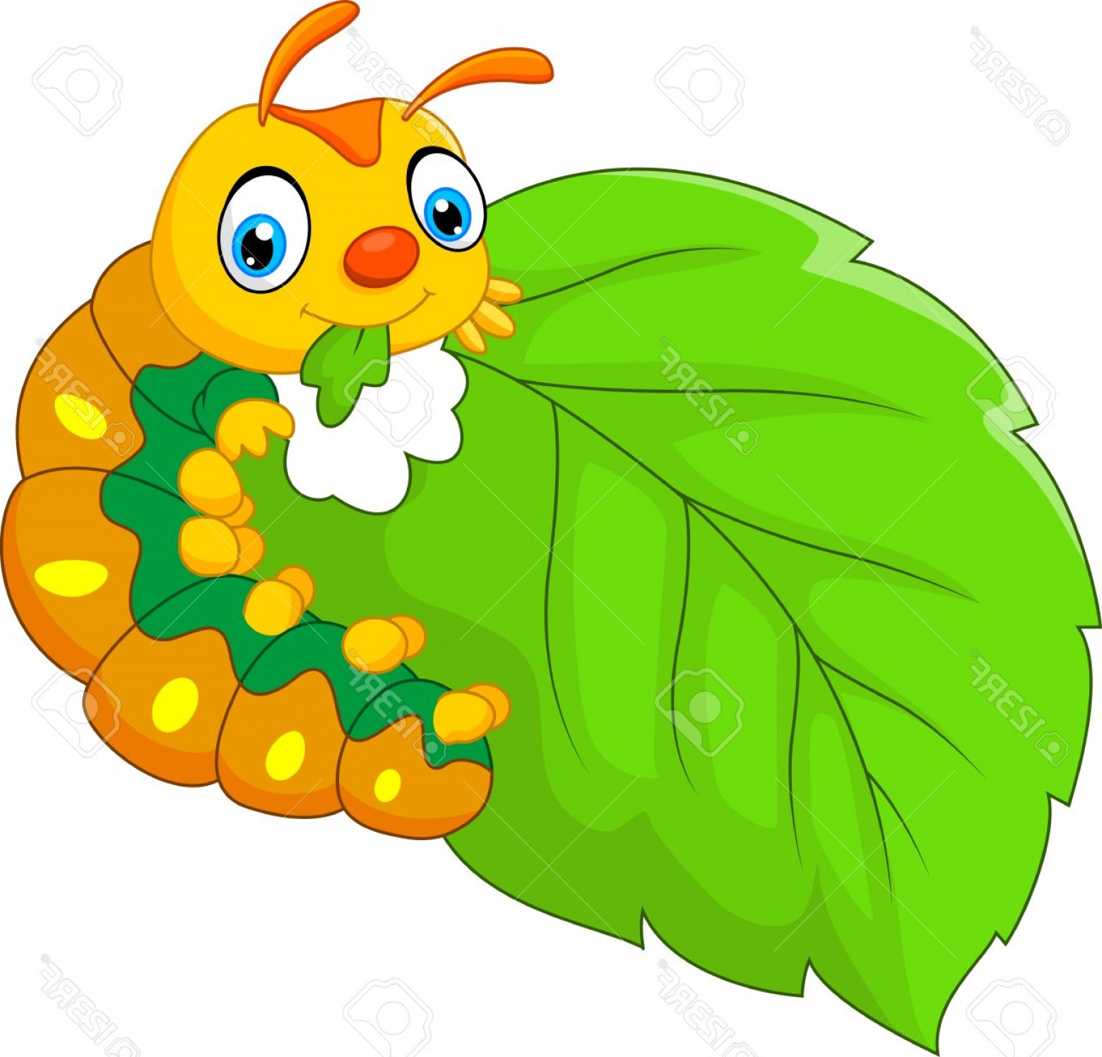 Photostock Vector Cartoon Caterpillar Eating Leaf