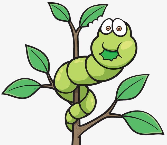 Cartoon caterpillar png.
