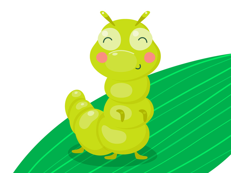 Happy Caterpillar by Elena Nesterova on Dribbble