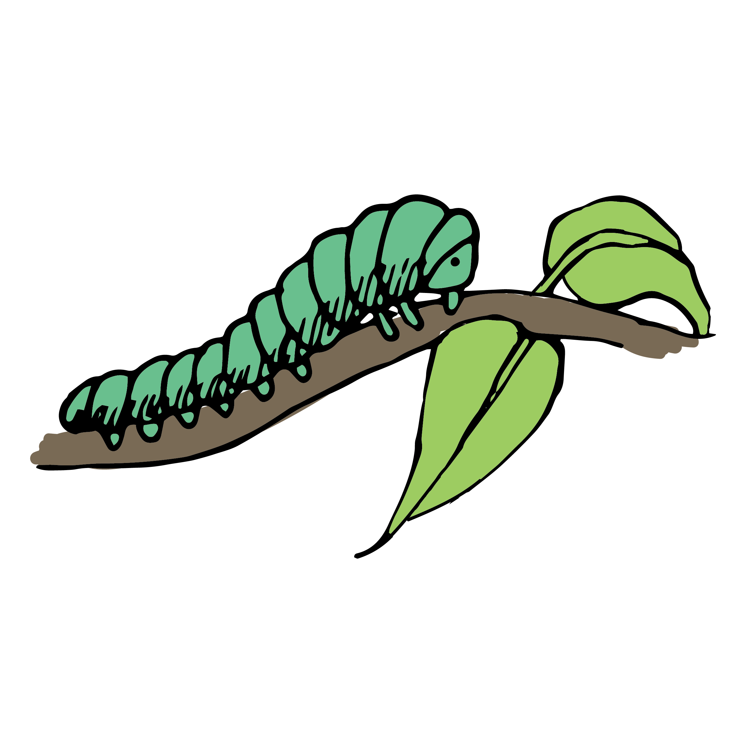 Caterpillar Clip art