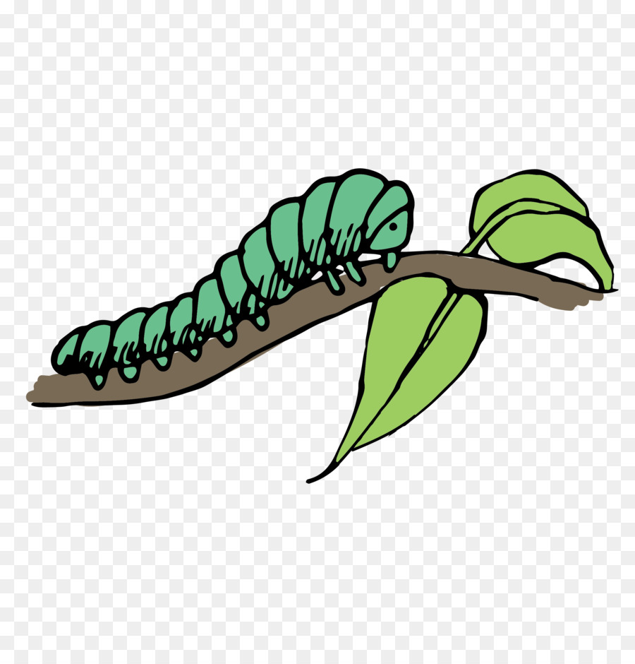 Caterpillar Clip art