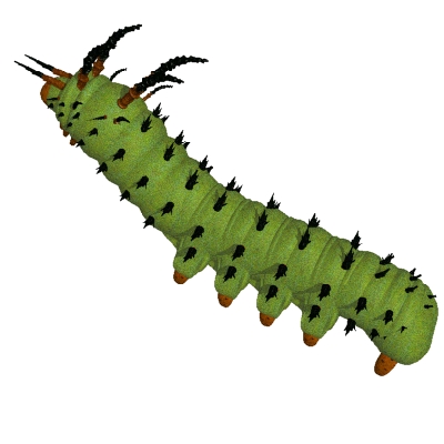 Very hungry caterpillar.