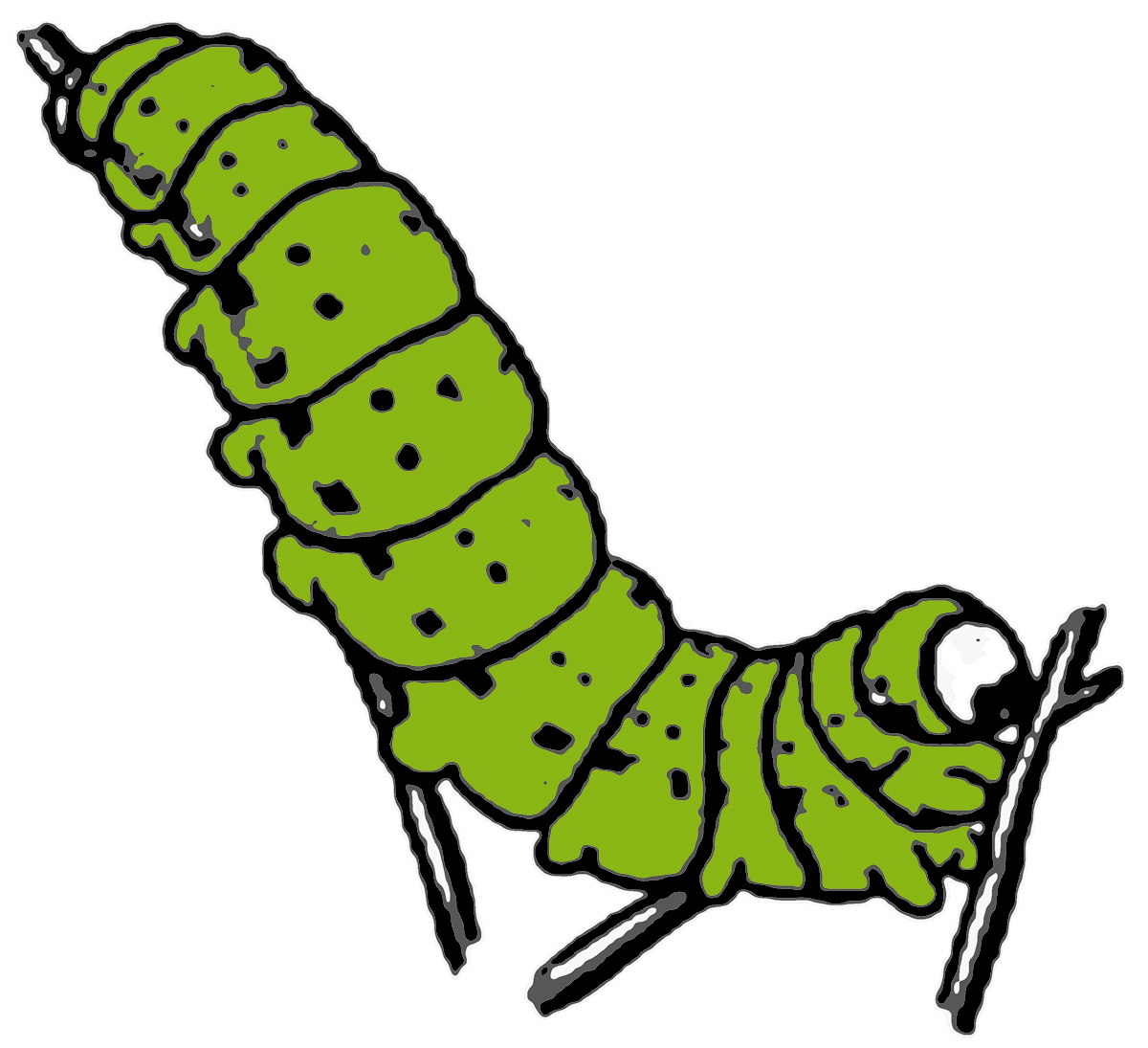 Best caterpillar clipart.