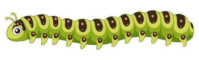 Caterpillar Free Vector Art