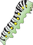 caterpillar clipart realistic