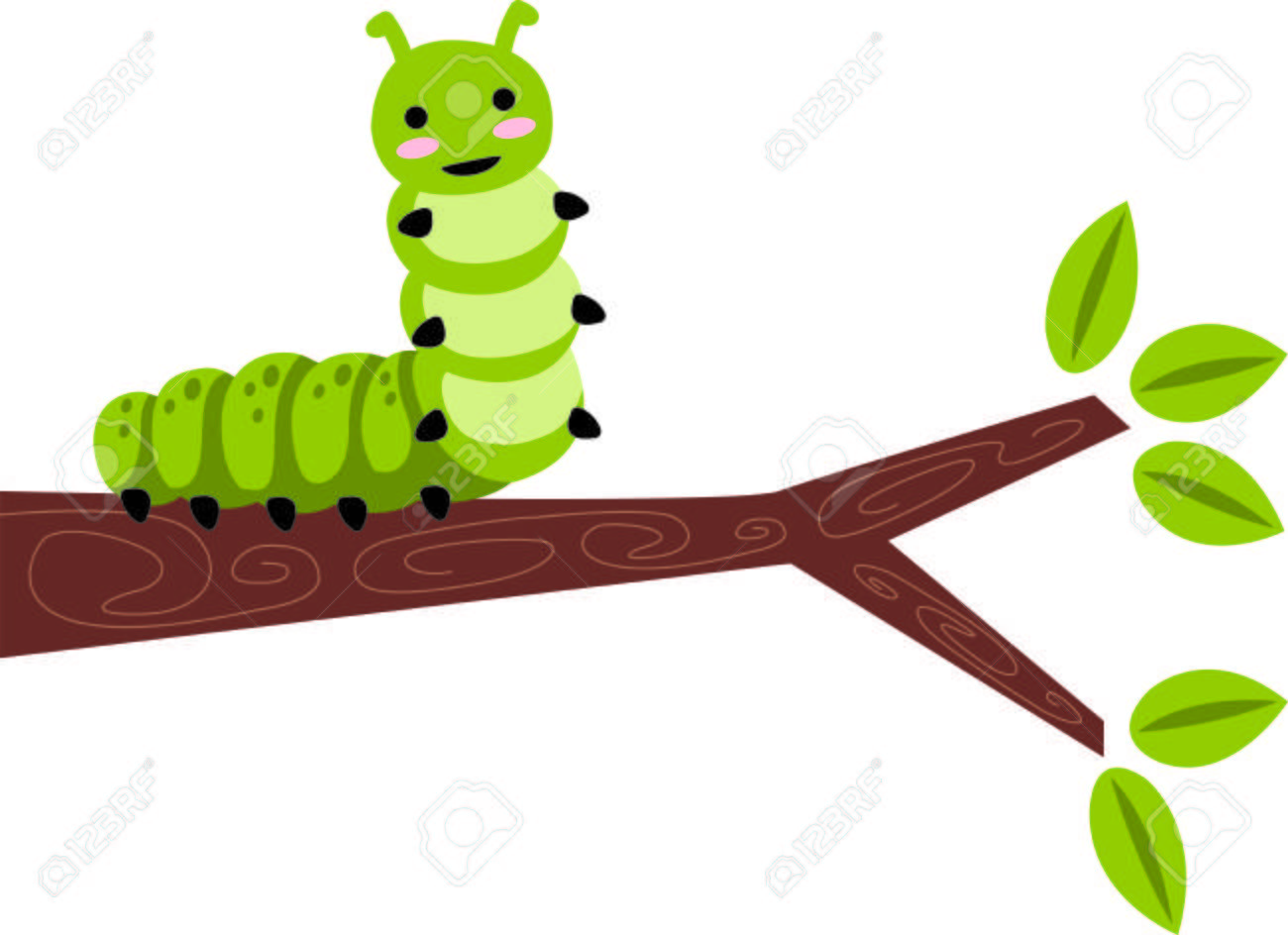 Caterpillar Clipart spring