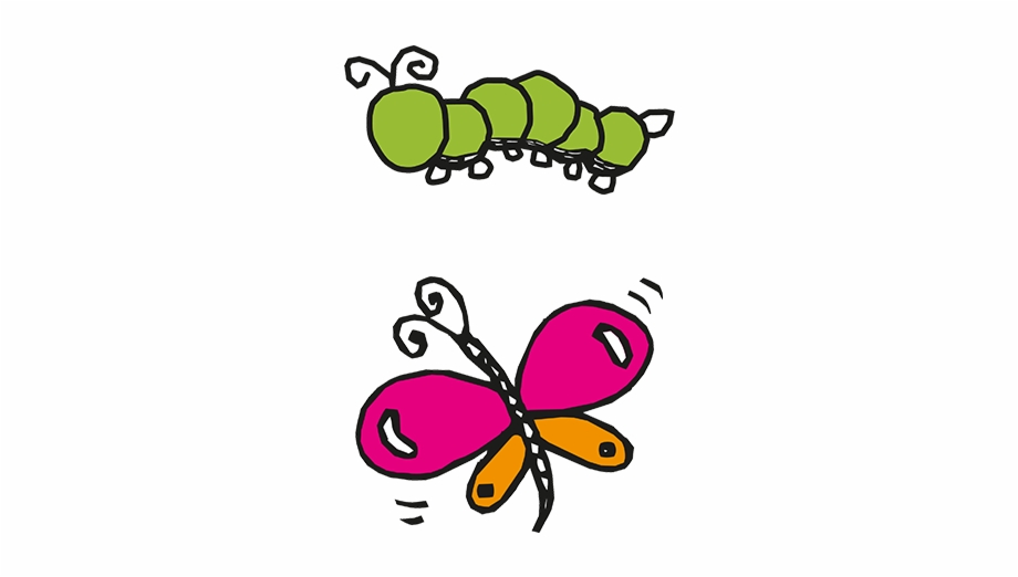 Caterpillars and butterflies.
