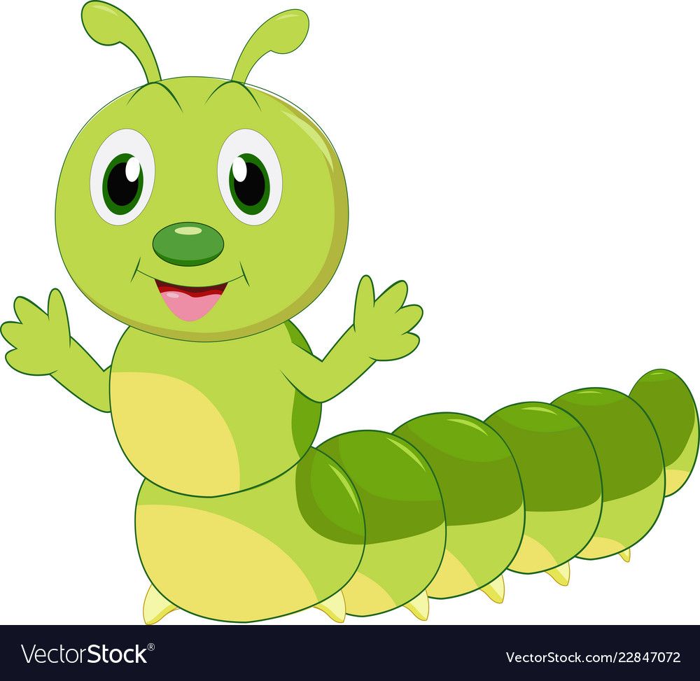 Cute caterpillar cartoon.