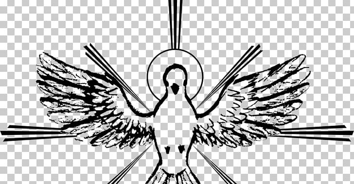 Holy Spirit Spiritual Gift Saint Catechism Of The Catholic