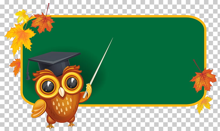 Board of education Blackboard School , Owl with School Board