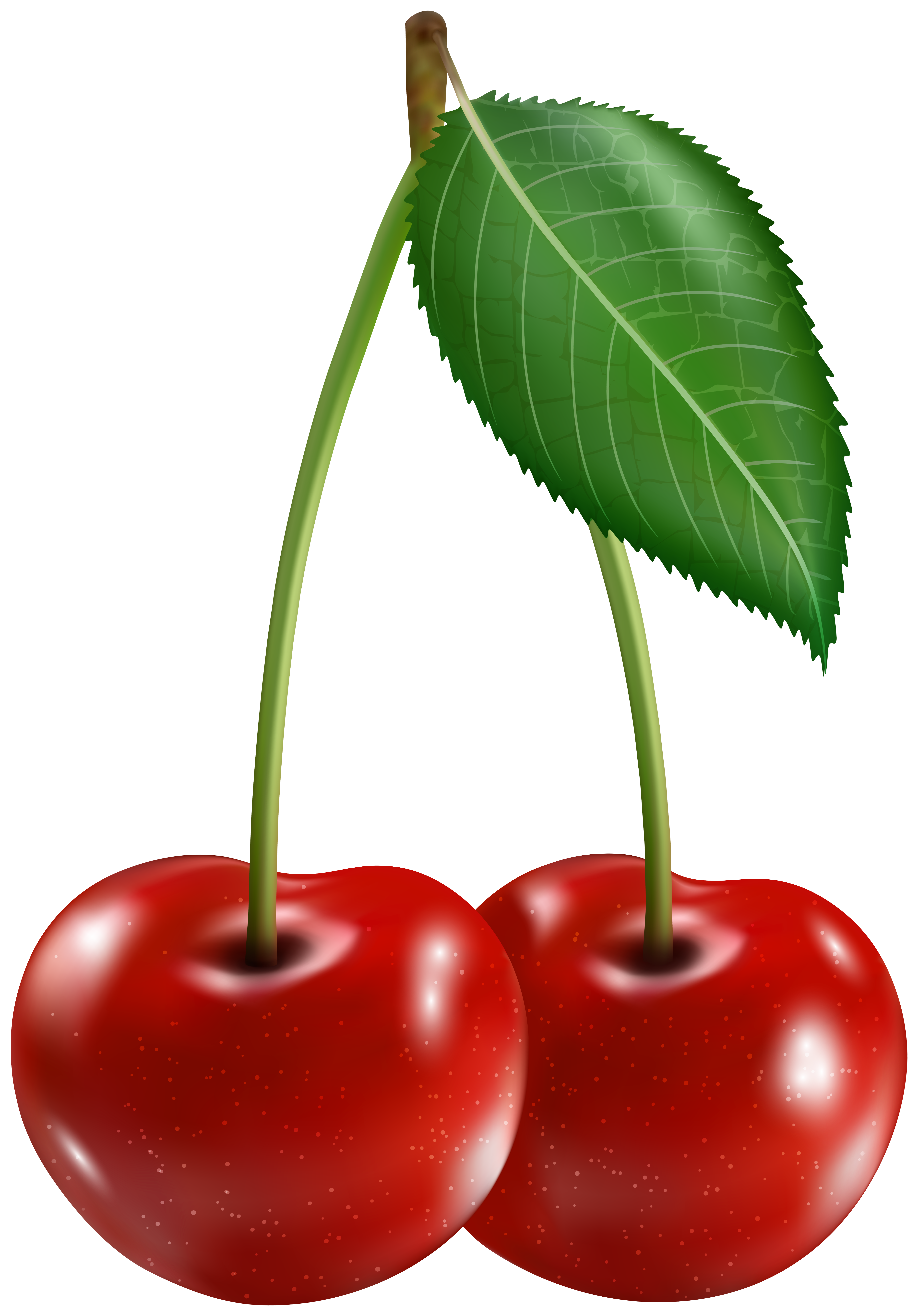 Cherry clipart image.