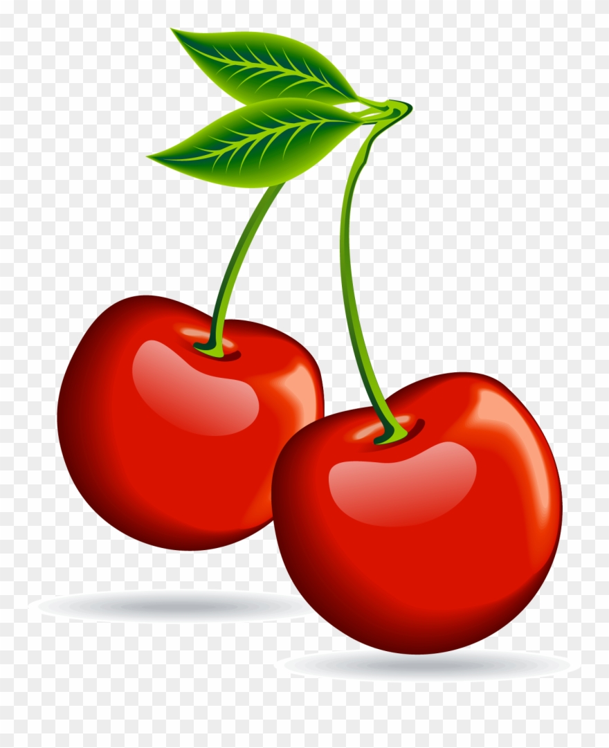 Cherry Clipart Clip Art Cherries