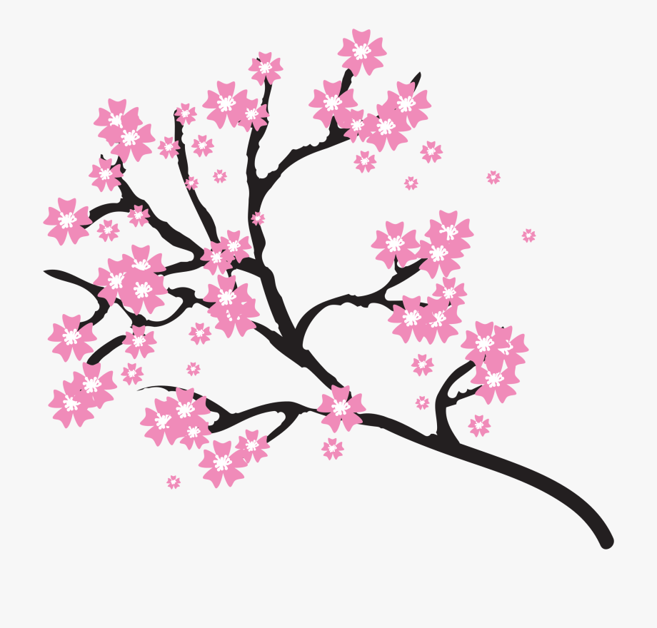 Vector cherry blossoms.