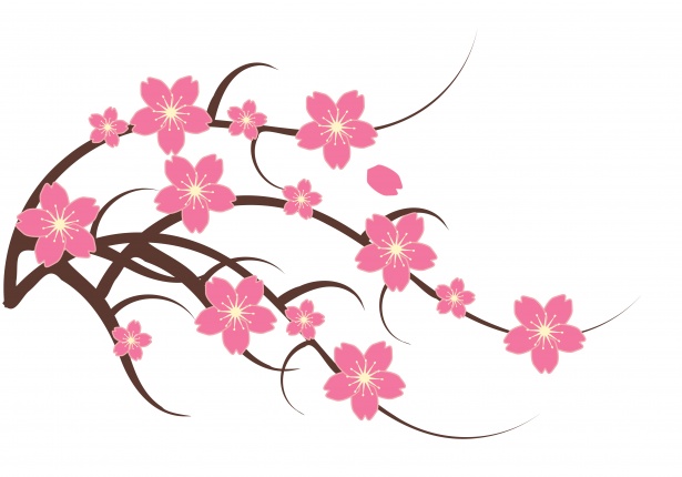 Cherry Blossom Clipart Illustration Free Stock Photo