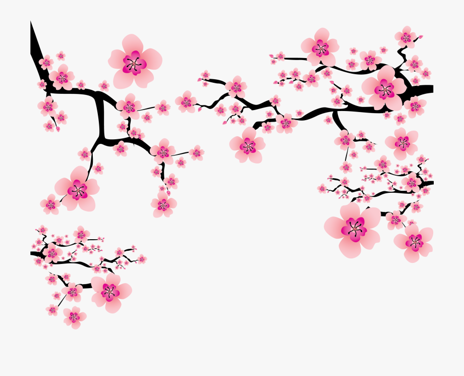 Cherry Blossom Plum Blossom Clip Art