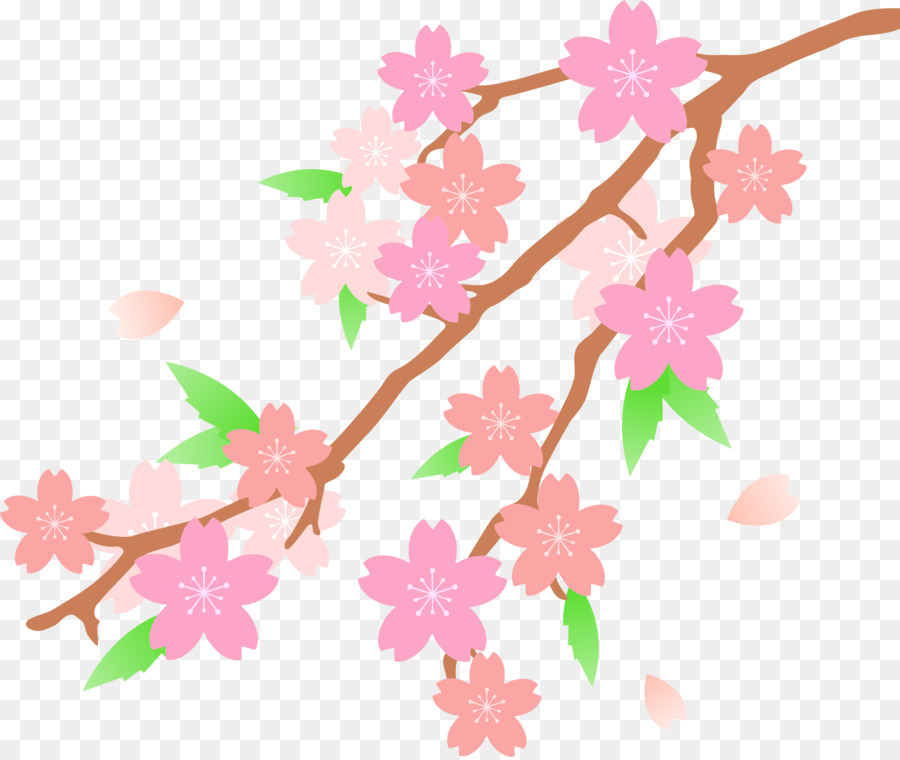 Cherry blossom cartoon.