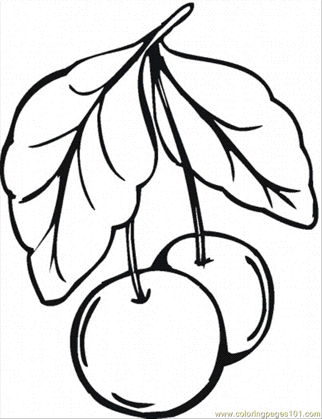 Free Cherry Blossom Coloring Pages, Download Free Clip Art