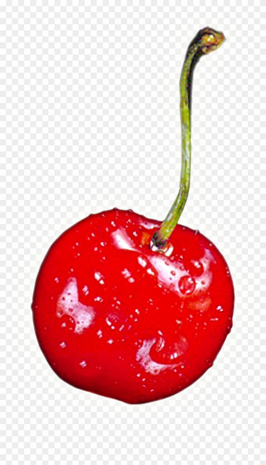 Cherry Clipart One Cherry