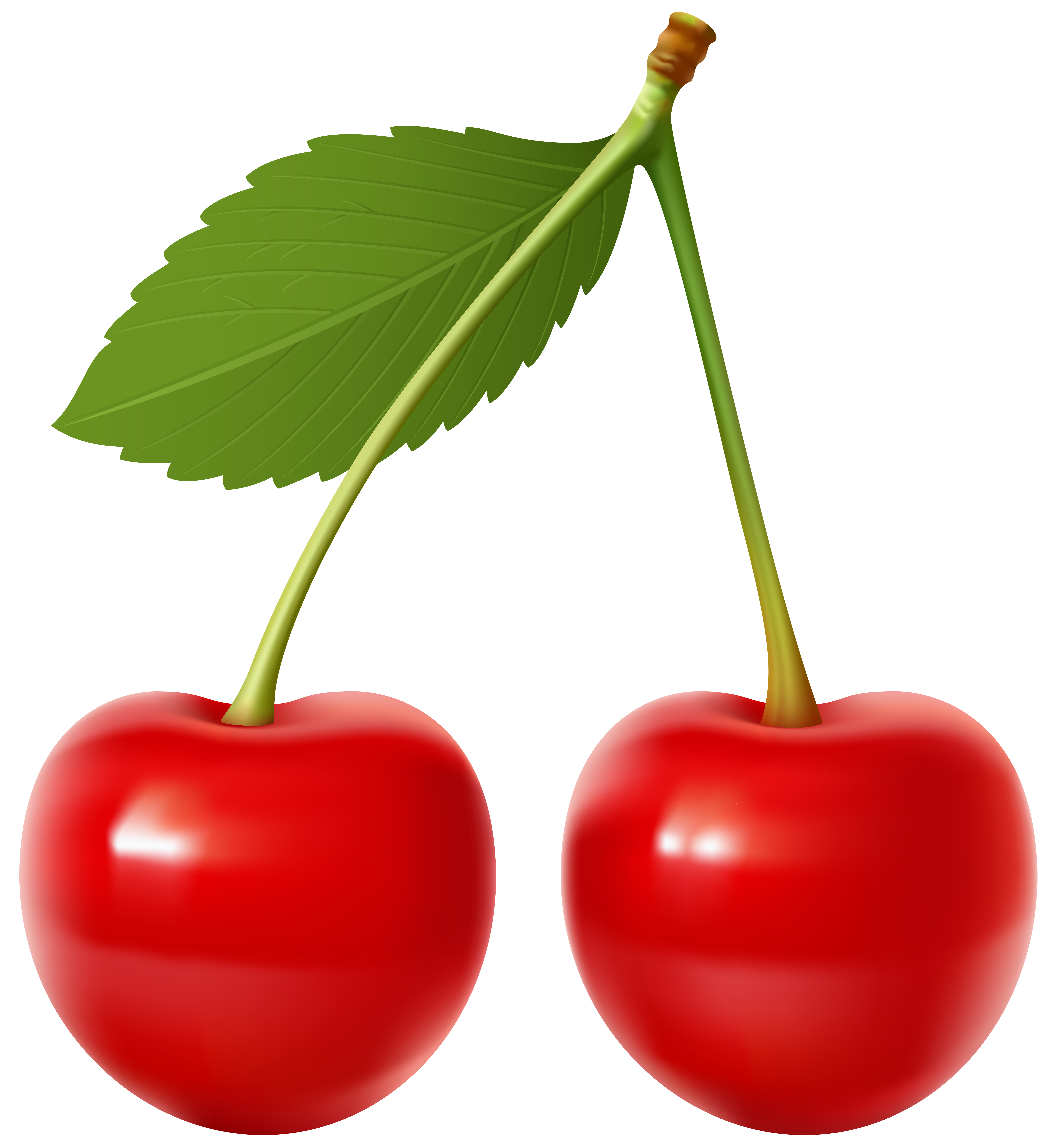 Cherries Transparent Clip Art Image