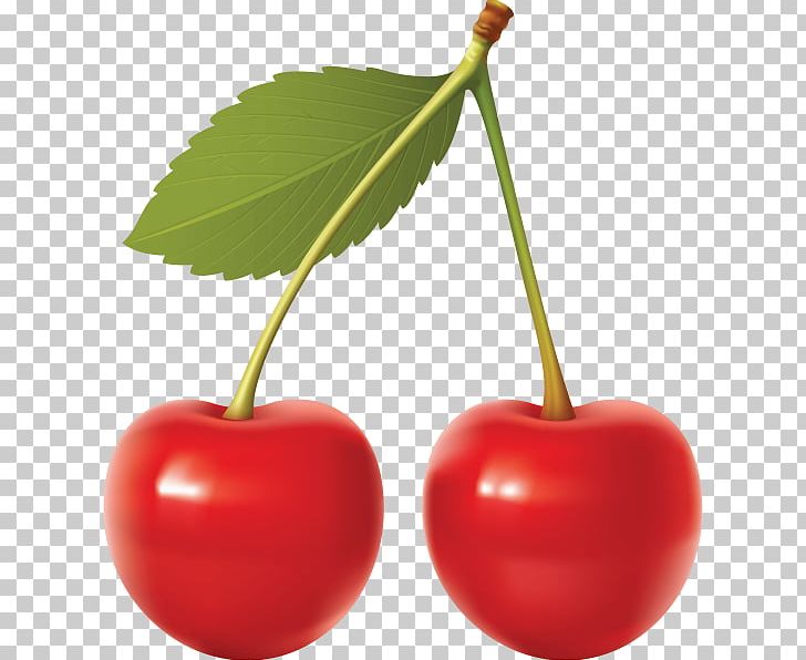 cherry clipart two