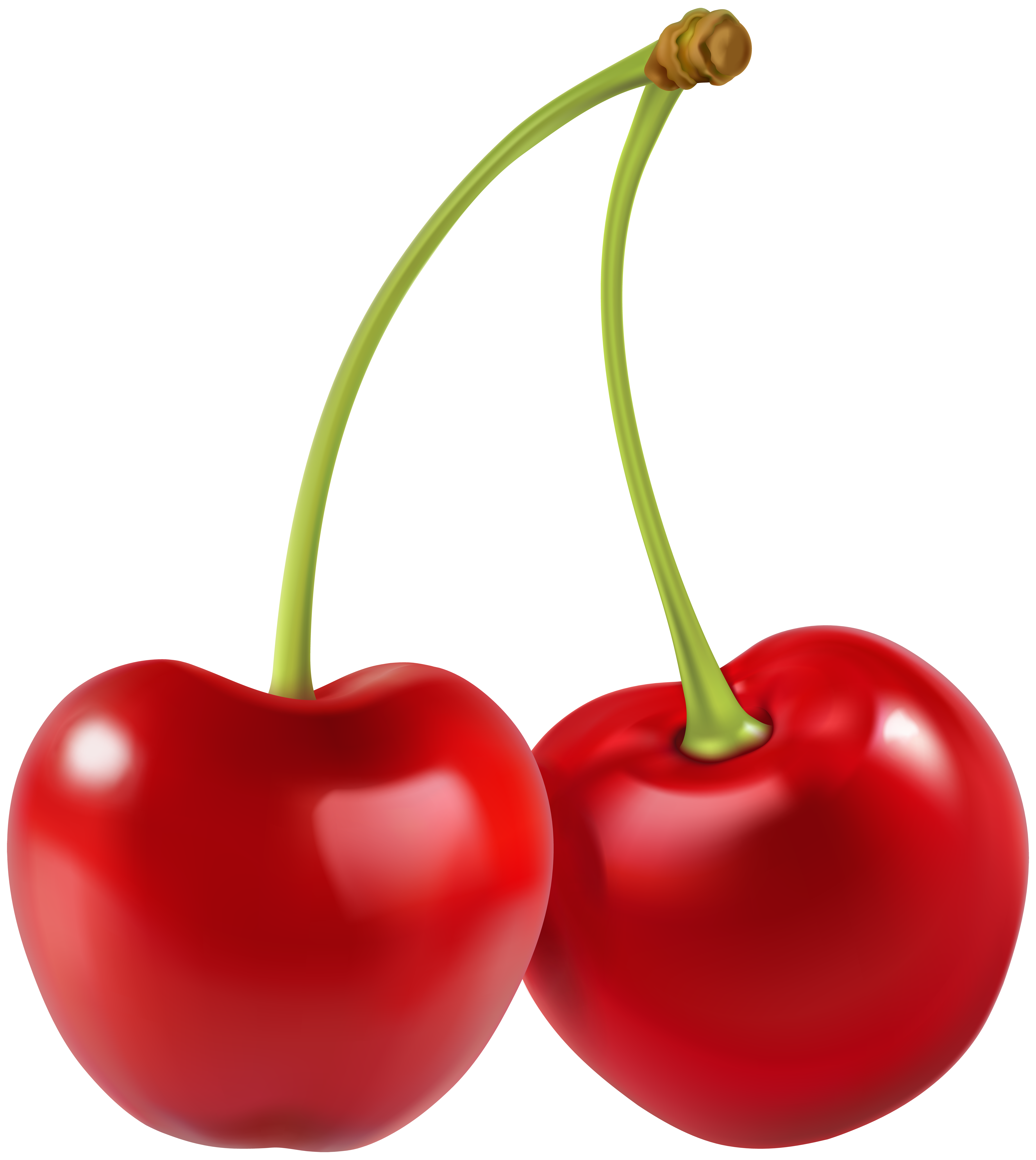 Two Cherries PNG Clip Art Image