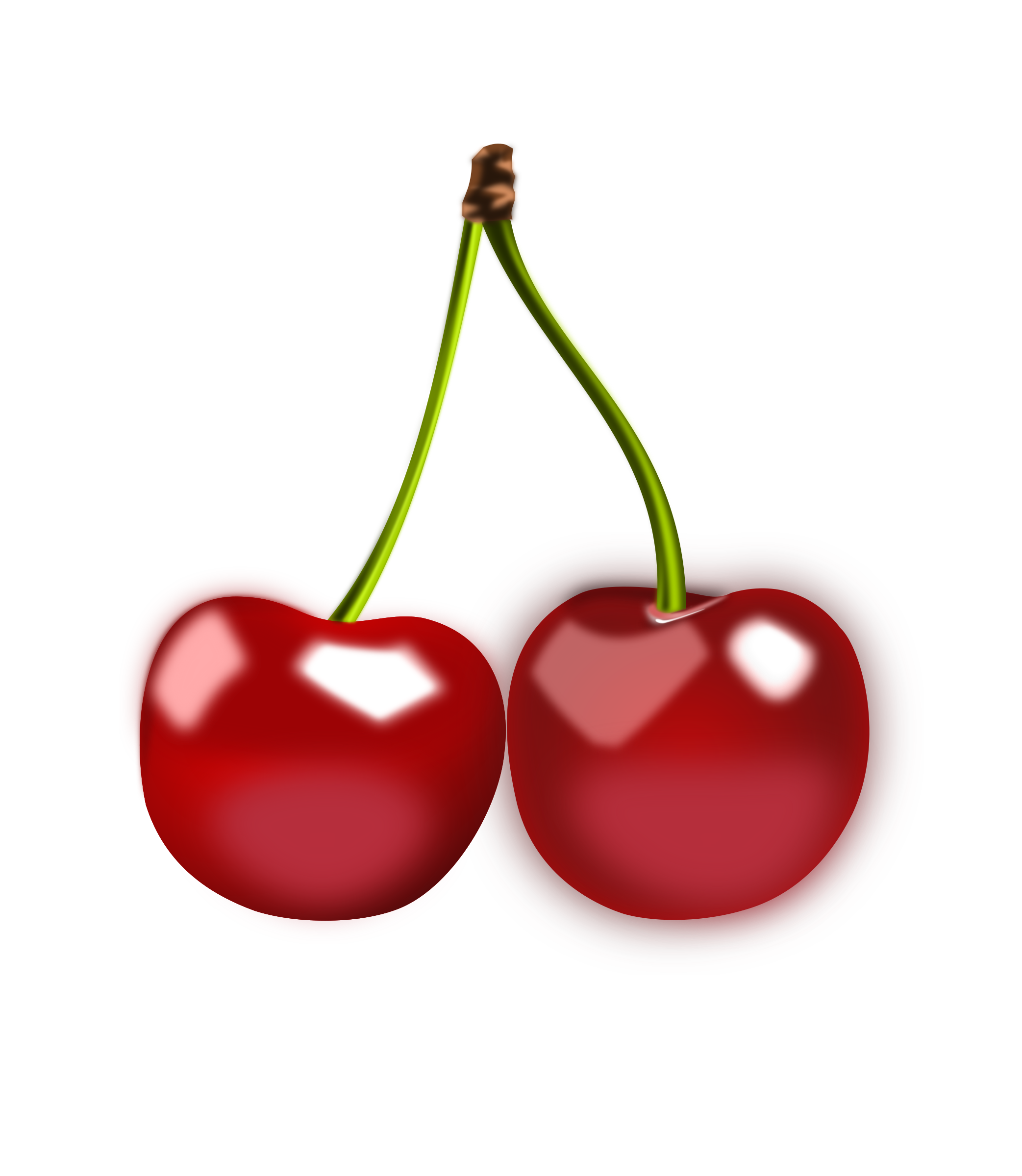 Cherries vector clipart.