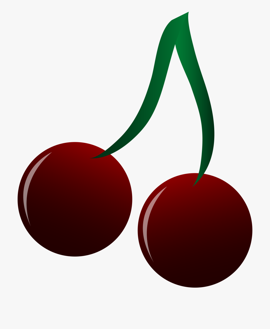 Black cherries vector.