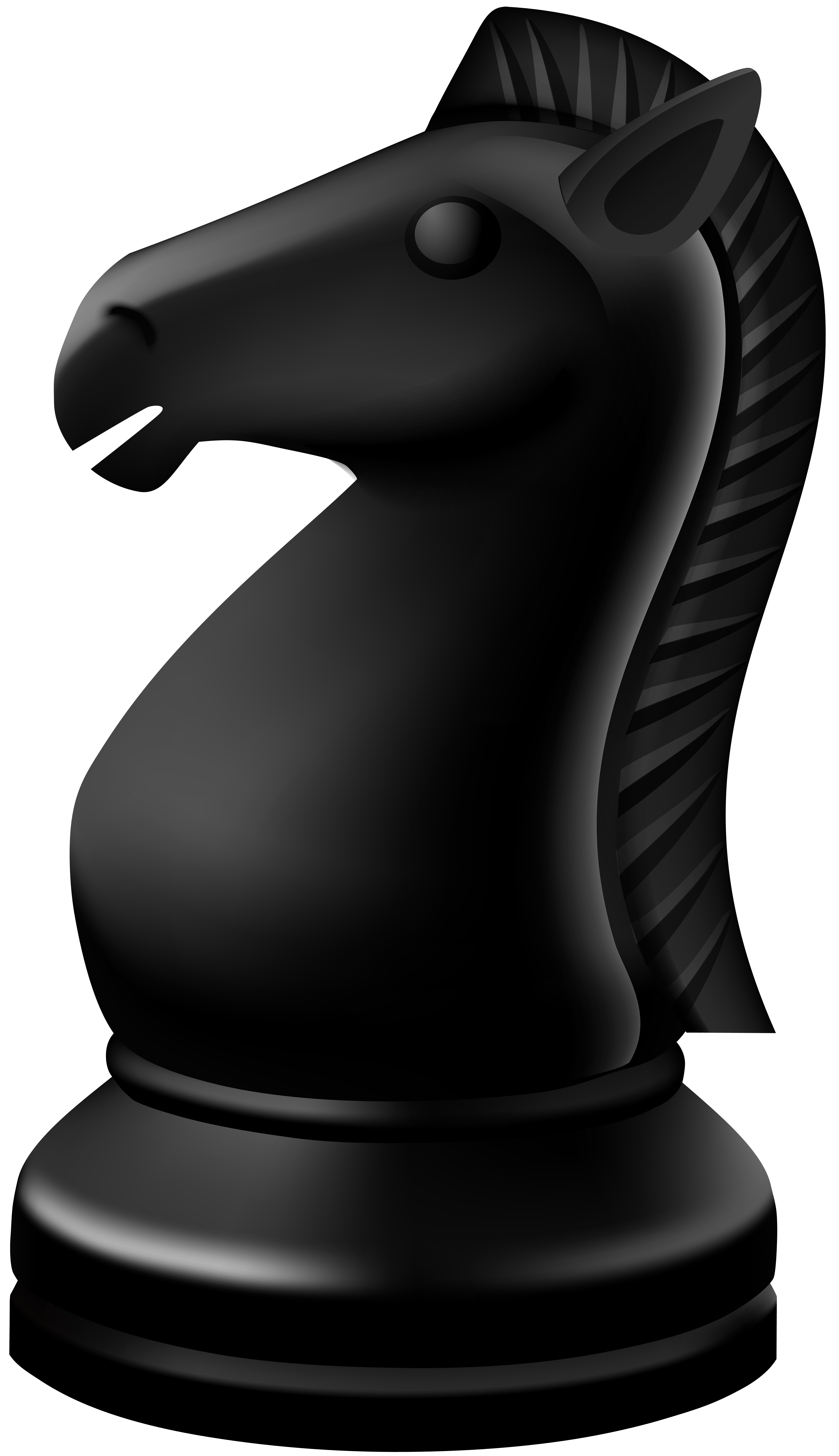 Knight black chess.