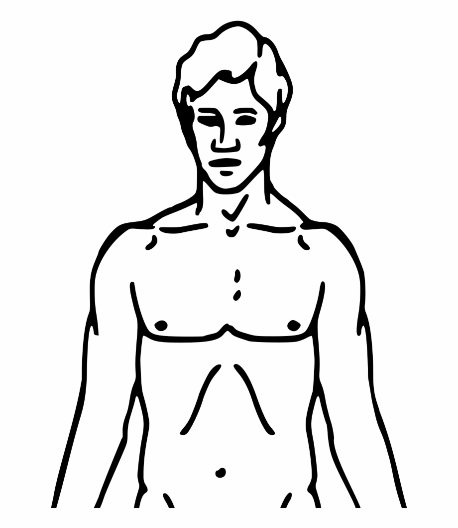 Body outline image.