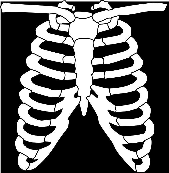 Free Chest Clipart skeleton, Download Free Clip Art on Owips
