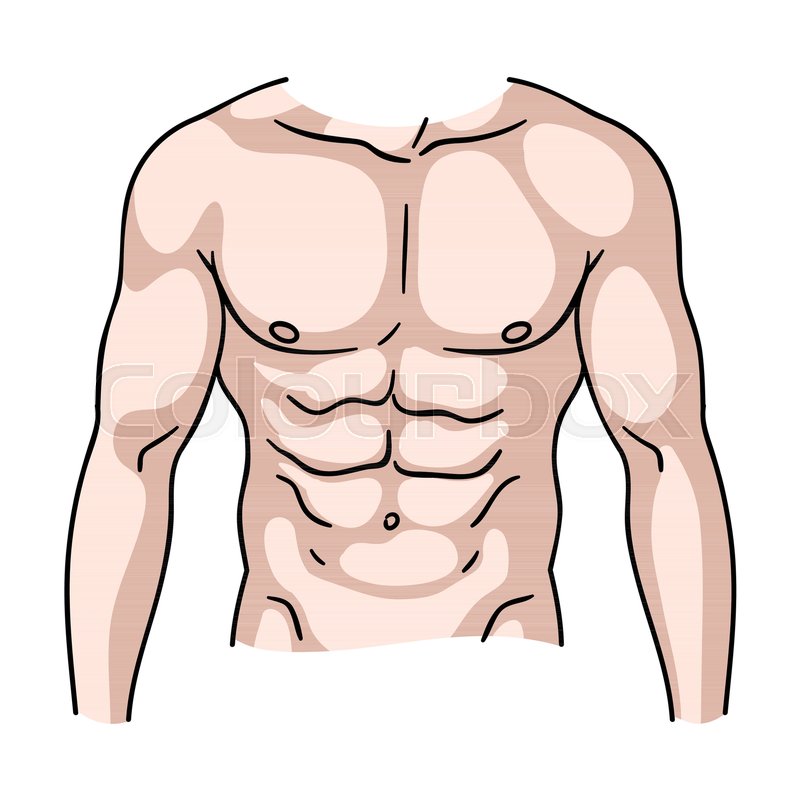 Torso Clipart Chest and other clipart images on Cliparts pub ™.
