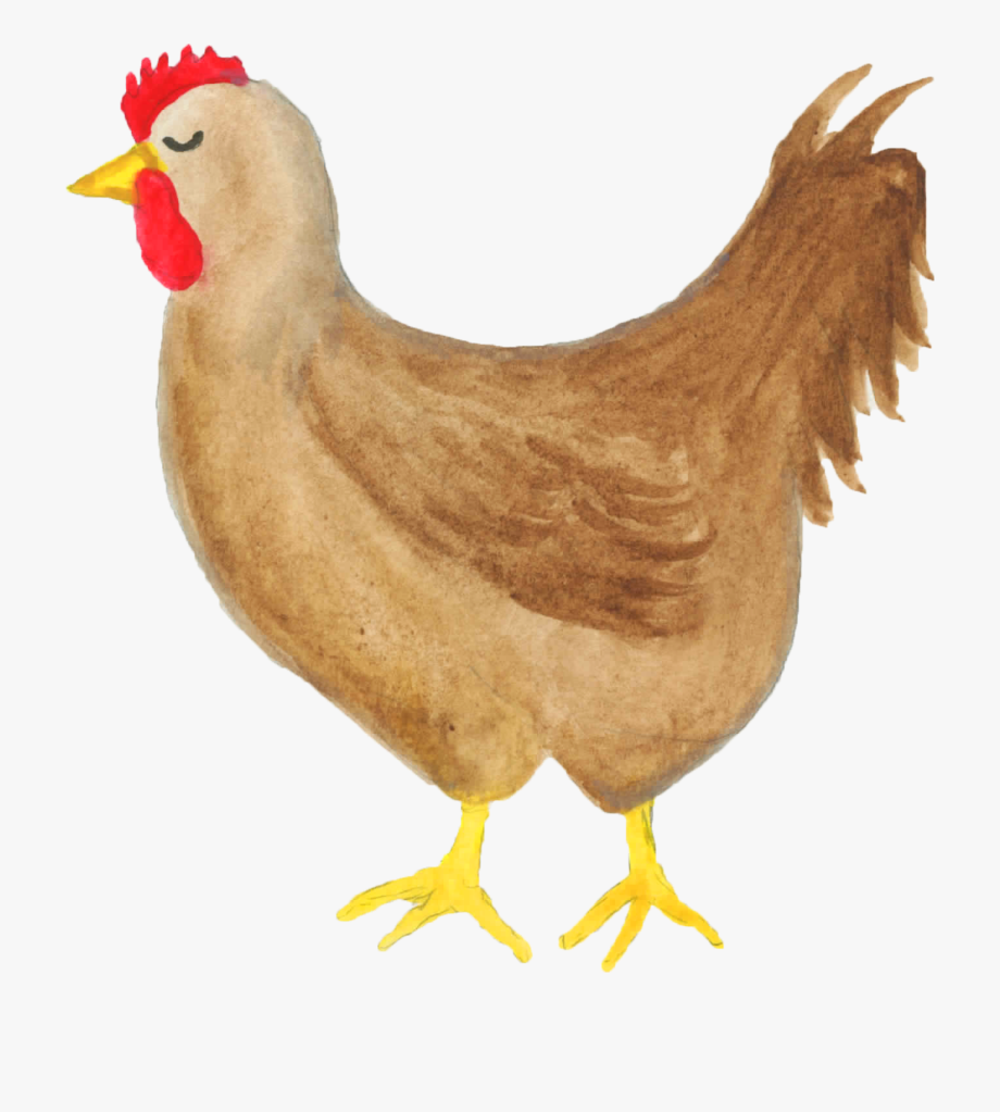 Watercolor Clipart, Farm, Hen, Chicken