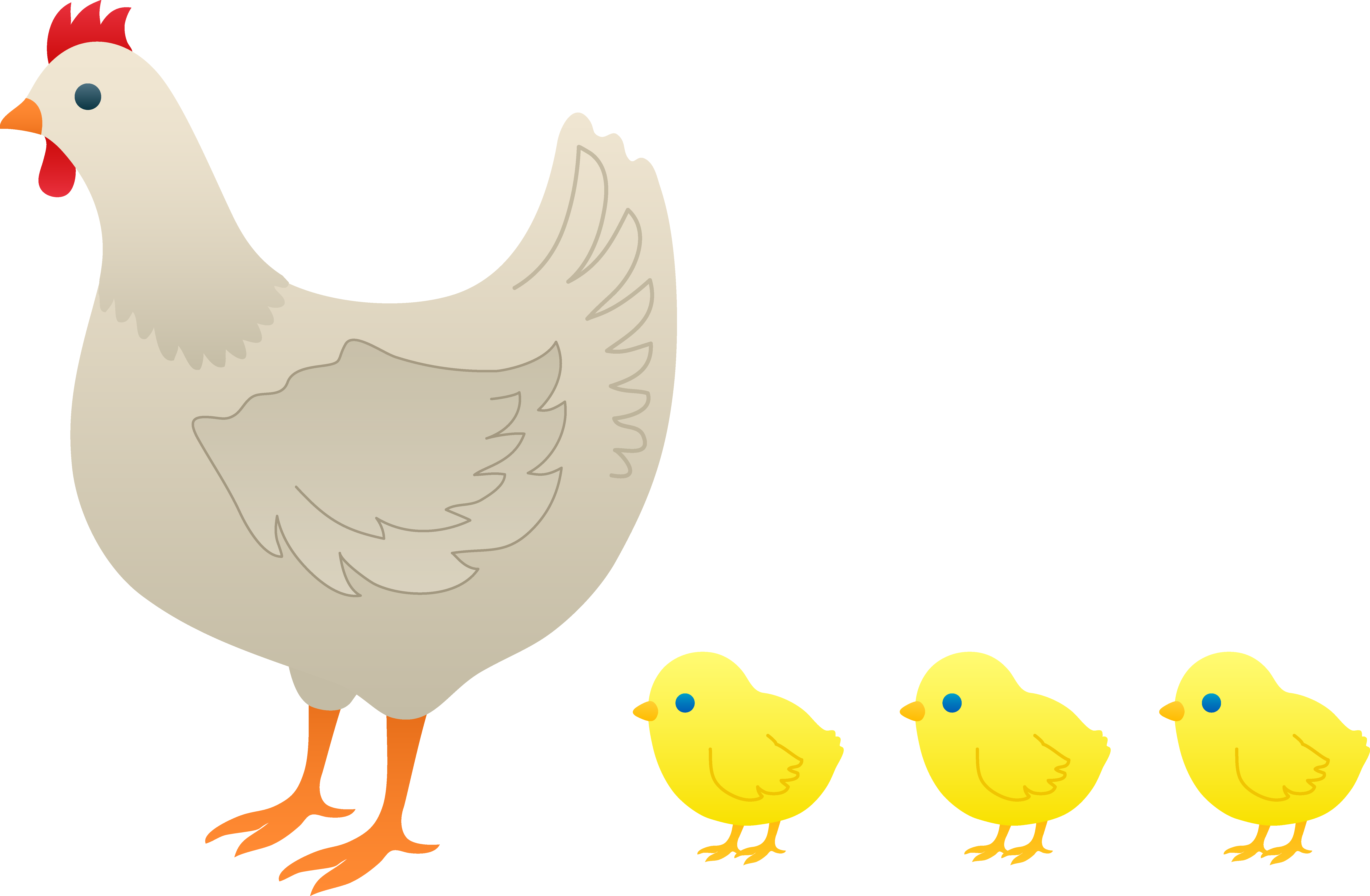 Chickens clipart chick.