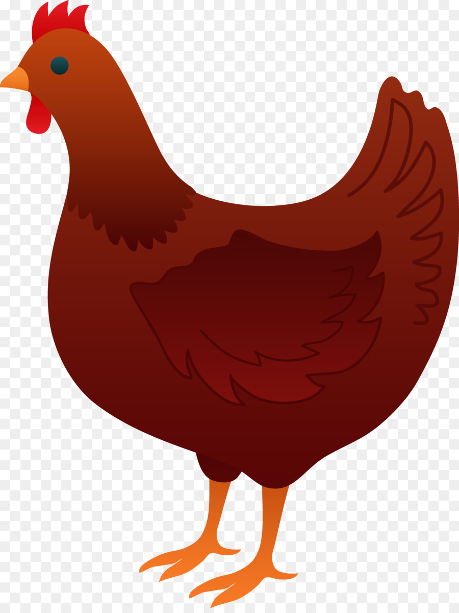 Chicken Cartoon clipart