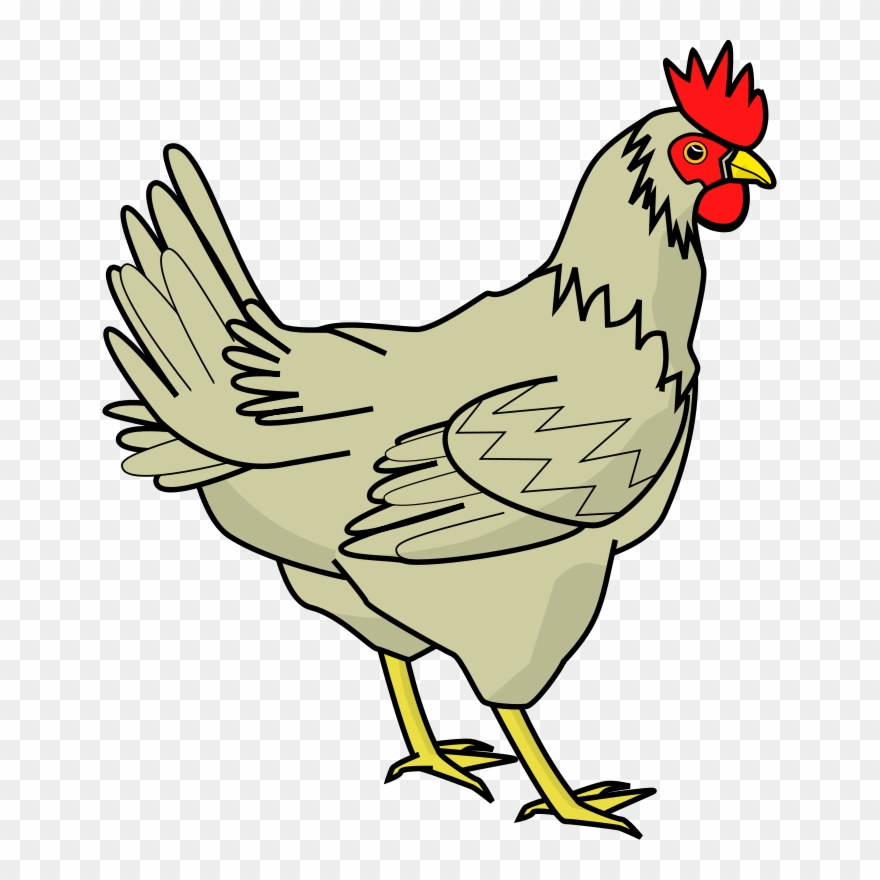 Chicken png images.