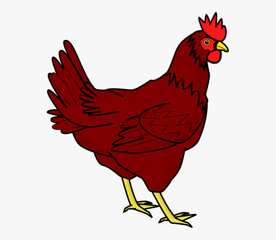 Chicken Png Transparent Image
