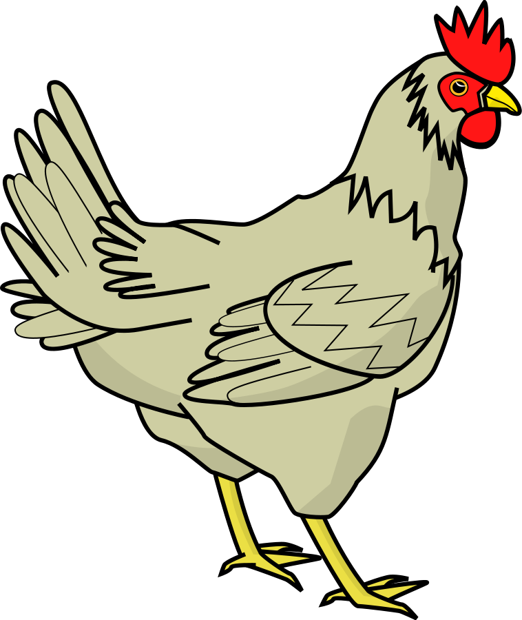 Free Chicken Vector Cliparts, Download Free Clip Art, Free