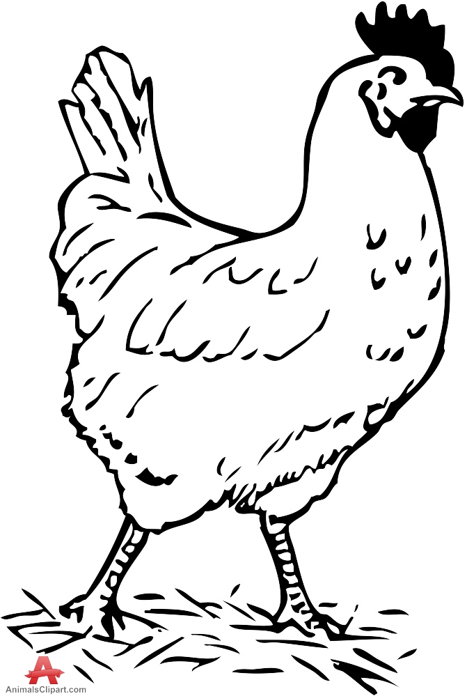 Free Chicken Cliparts Black, Download Free Clip Art, Free